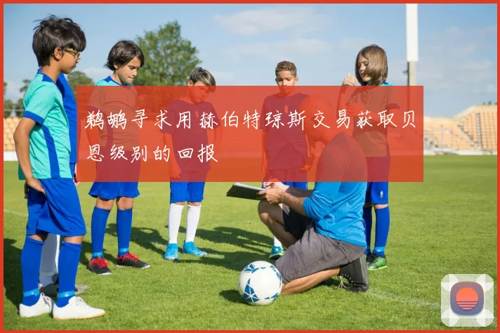 鹈鹕寻求用赫伯特琼斯交易获取贝恩级别的回报